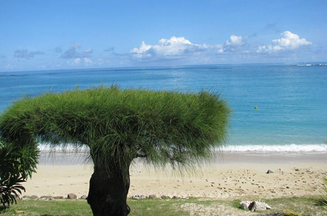 IMWE CHETE - Exclusive Villas in Mauritus